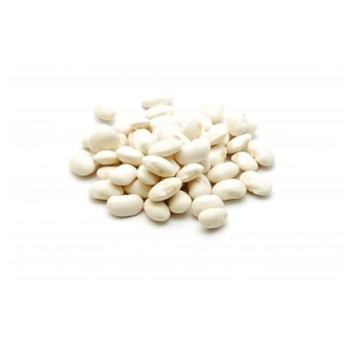 White Kidney Beans – Genetic Infinity Conglomerate Group